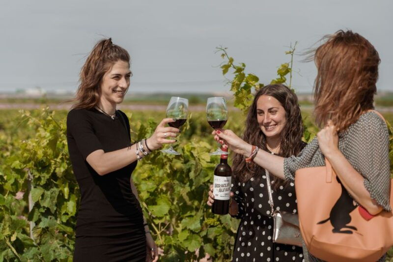 discover-la-rioja-guided-winery-tour-wine-tasting-2