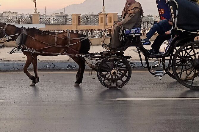 Discover Luxor City Tour by Horse Carriage - An In-Depth Look at the Experience