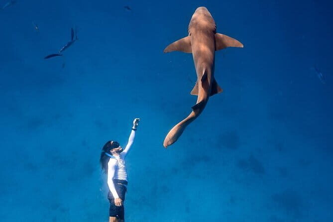 Discover Maafushi in 4 Nights 5 Days (Tour A) - Key Points