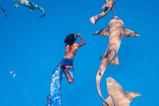 Discover Maafushi in 4 Nights 5 Days (Tour A) - Unpacking the Itinerary: What to Expect Day by Day