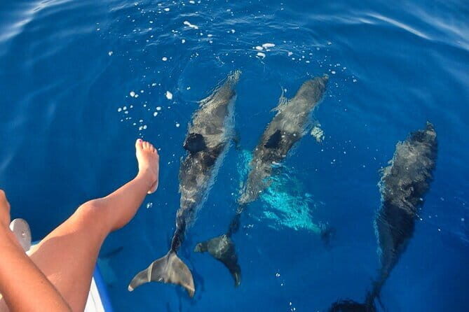 Discover Maafushi in 4 Nights 5 Days (Tour A) - Who Is This Tour Best For?