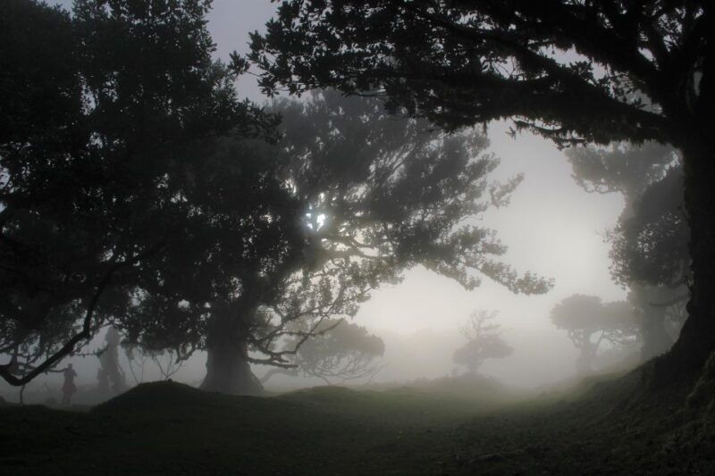 discover-madeiras-idyllic-hikes-beauty-on-foot-wheels