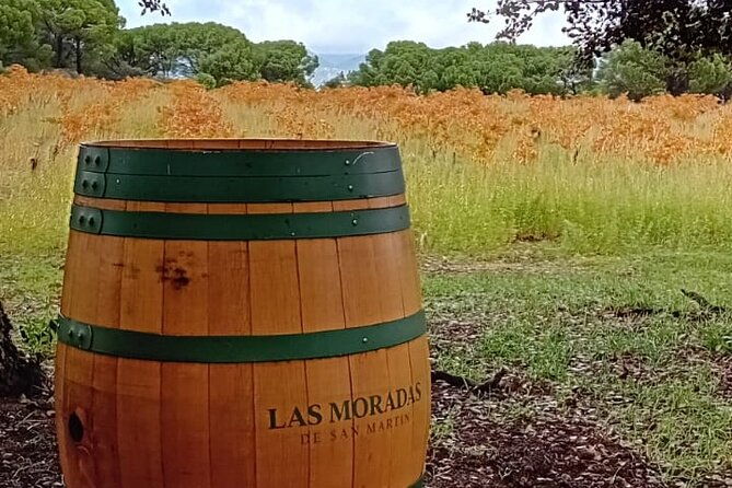 discover-madrids-best-exclusive-wine-tour-tastings-await