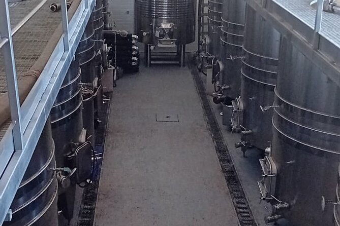 discover-madrids-best-exclusive-wine-tour-tastings-await