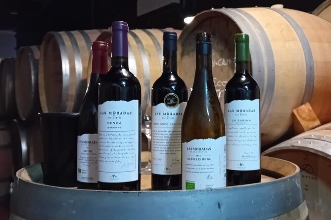 discover-madrids-best-exclusive-wine-tour-tastings-await