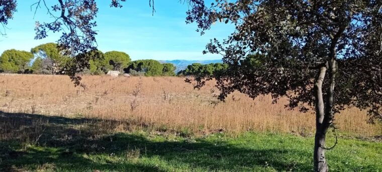 discover-madrids-hidden-do-exclusive-winery-tour-tasting-2