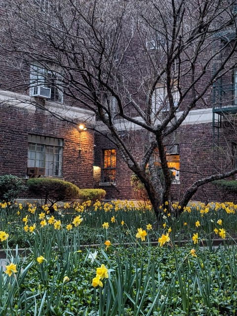 discover-manhattans-hidden-gems