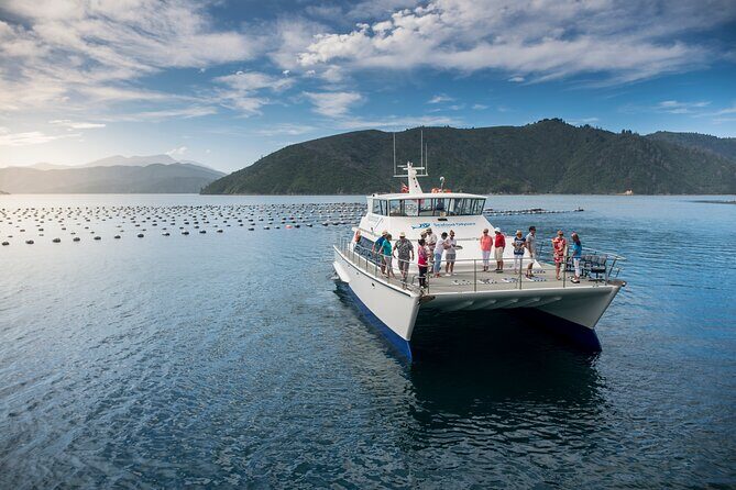 Discover Marlborough Wine - Afternoon Marlborough Wine Tour - The Sum Up