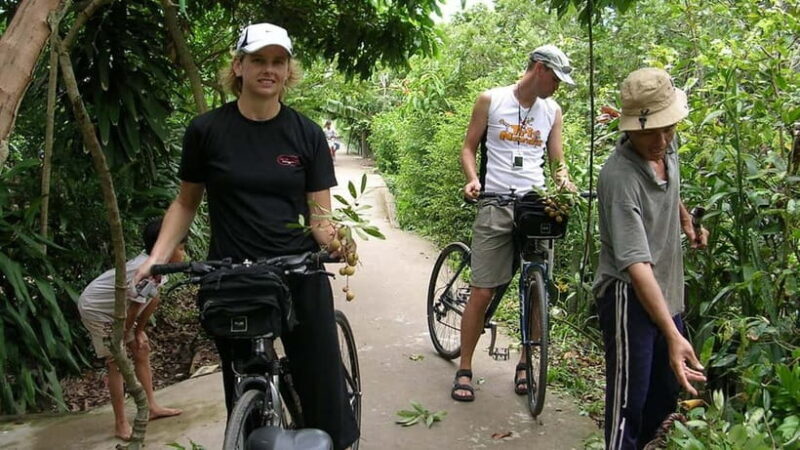 Discover Mekong Delta on Private Non-Touristy Biking Tour - An Authentic Day in the Mekong Delta