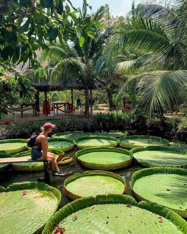 discover-mekong-delta-two-days-one-night-cai-be-can-tho