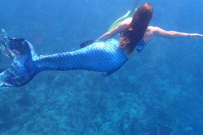 discover-mermaid-experience-in-rincon