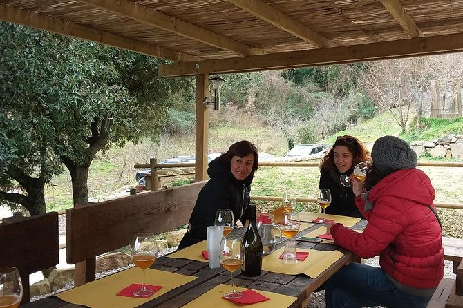 discover-montalcino-through-its-best-productions-brunello-saffron