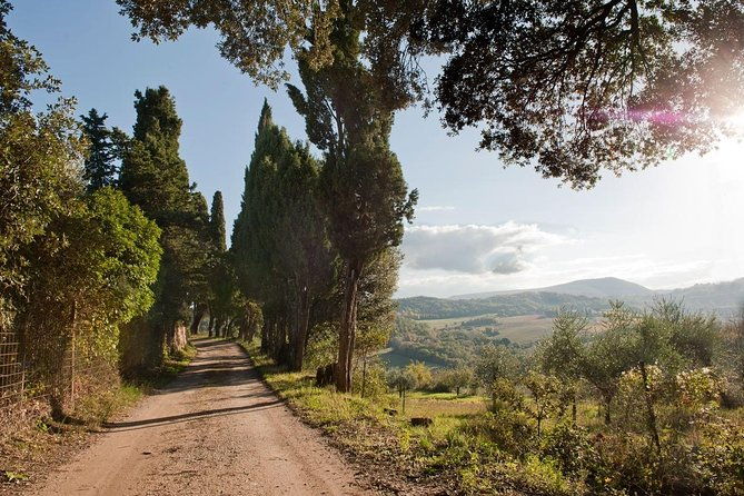discover-montepulciano-cinta-senese-pigs-lunch-wine-in-a-farm