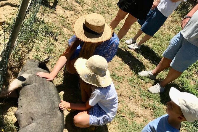 discover-montepulciano-cinta-senese-pigs-lunch-wine-in-a-farm