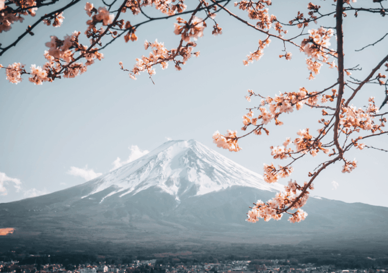 discover-mount-fuji-private-car-van-day-tour-from-tokyo
