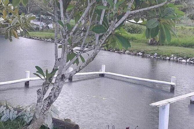Discover Mud pool/Hot -Spring Nadi - Practical Tips for Booking and Enjoying the Tour