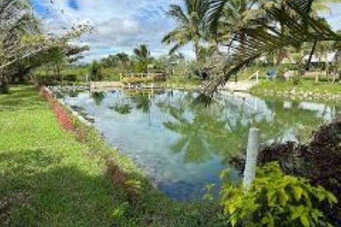 Discover Mud pool/Hot -Spring Nadi - Is It Worth It?