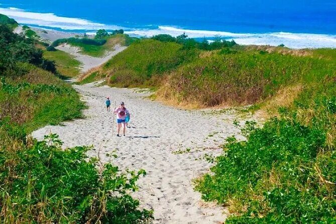 Discover Nadi Tour - Final Thoughts: Is the Discover Nadi Tour Worth It?