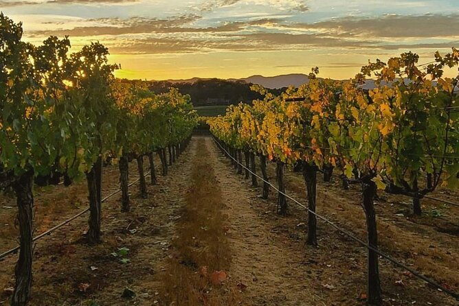 discover-napa-valleys-hidden-gems-with-local-sommeliere
