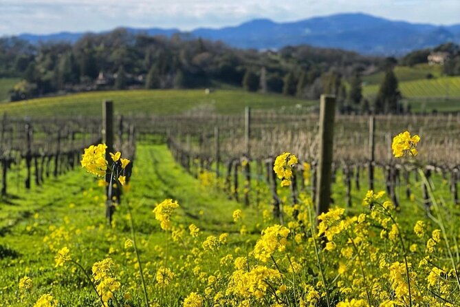 discover-napa-valleys-hidden-gems-with-local-sommeliere