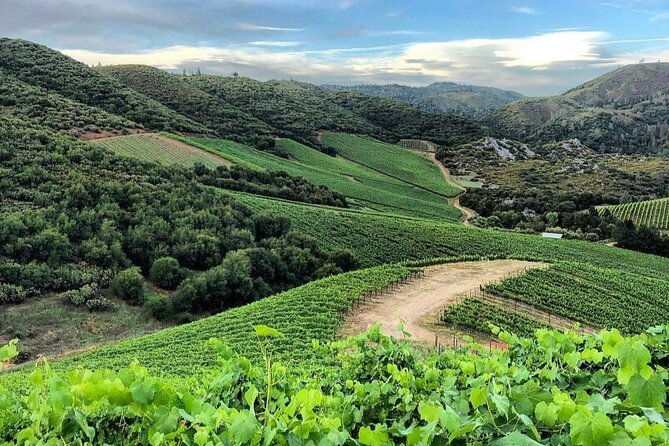 discover-napa-valleys-hidden-gems-with-local-sommeliere