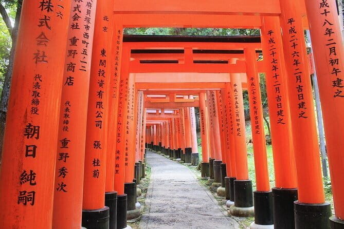 Discover Nara Park, Kyoto Highlights and Fushimi Inari from Osaka - Who Should Consider This Tour?