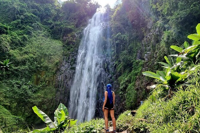 Discover Nature and Culture of Materuni Waterfall & Coffee Tour - Key Points