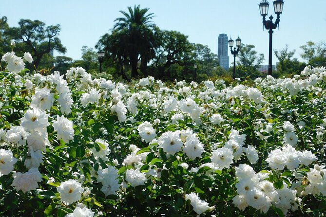 discover-nature-at-buenos-aires-city-the-palermo-woods