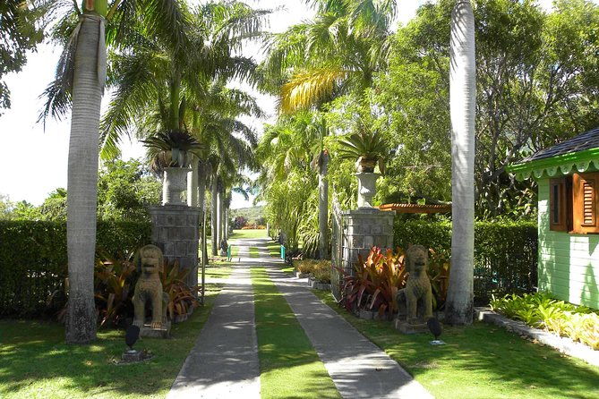 discover-nevis-island-tour-private