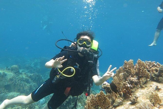 Discover Nha Trang Bay with Scuba Diving Tour - Key Points