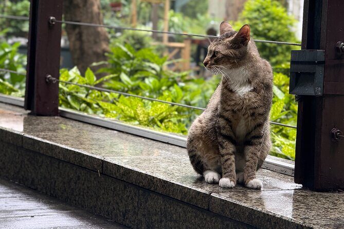 Discover Old Shanghai on an Electric Moped - Authenticity and Feedback from Past Travelers