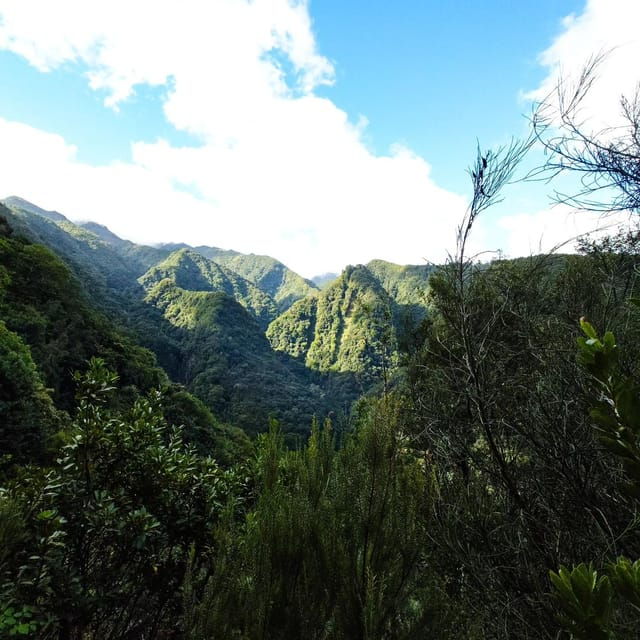discover-one-of-our-islands-levadas-in-a-relaxing-way