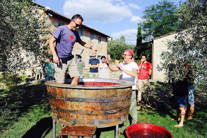 discover-organic-and-biodynamic-chianti-small-wineries-2