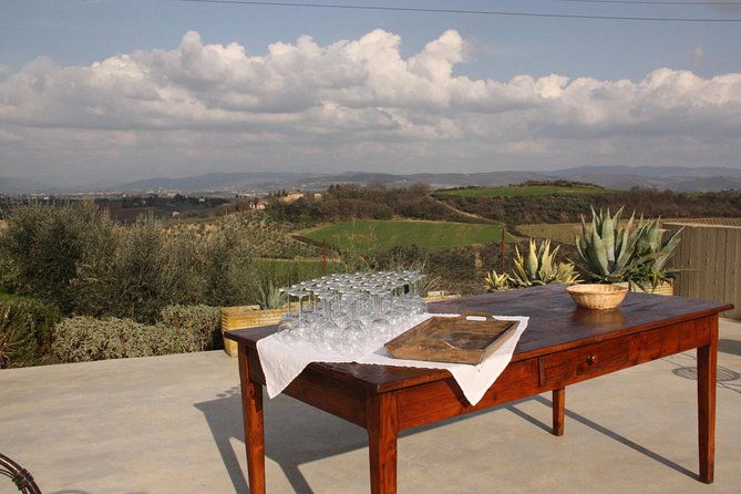 discover-organic-and-biodynamic-chianti-small-wineries-2