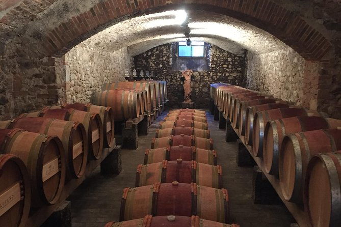 discover-organic-and-biodynamic-chianti-small-wineries-2