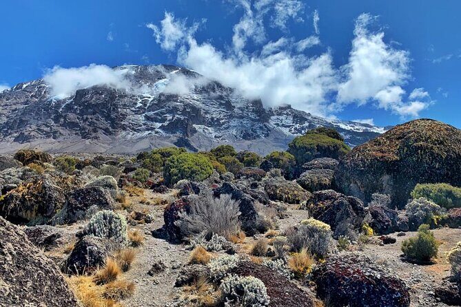 Discover Our Latest 6 Days Climbing Kilimanjaro - Marangu Route - The Experience & Support