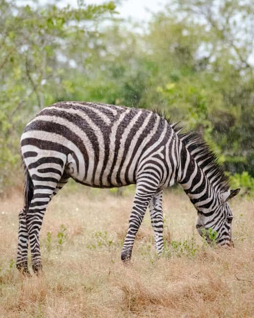 Discover our top best 2 days Tarangire to Ngorongoro Safari - What’s Included and Not Included