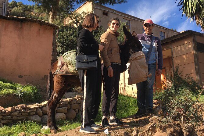 Discover Ourika valley differently in a day trip From Marrakech - Who Is This Tour Best Suited For?