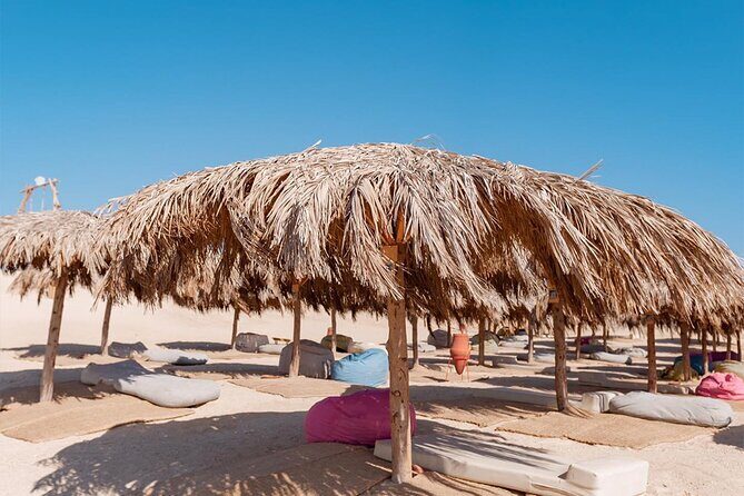Discover Paradise Island Adventure - What to Expect from the Snorkeling and Water Activities