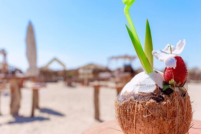 Discover Paradise Island Adventure - Summary: Who Will Love This Tour?