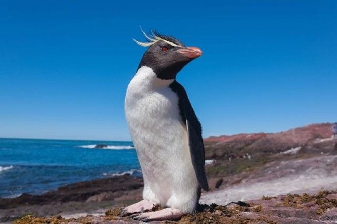 discover-patagonia