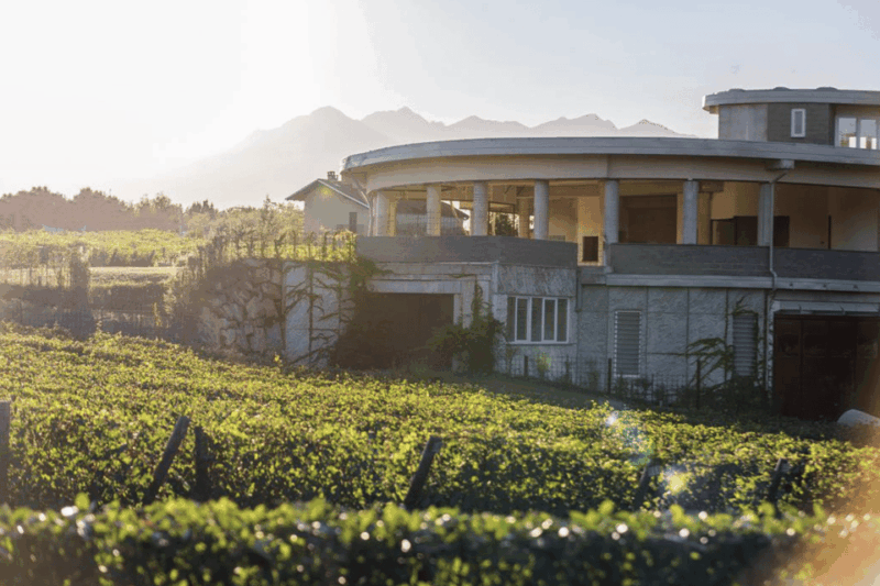 discover-piedmont-unique-wine-tasting