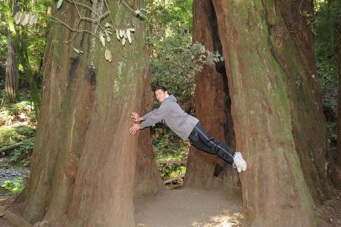 discover-point-reyes-national-seashore-muir-woods-redwoods