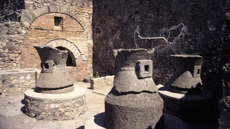 discover-pompeii-herculaneum-and-taste-the-wines-of-vesuvius-in-a-unique-experience