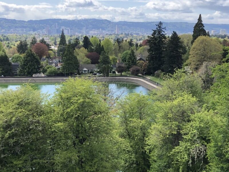 Discover Portland: Guided Sightseeing Tour (Most popular!) - Key Points  