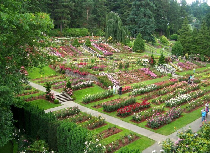 Discover Portland: Guided Sightseeing Tour (Most popular!) - Who Will Love This Tour?  