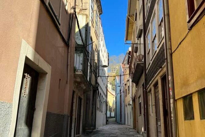 discover-porto-with-an-official-guide-a-tour-of-iconic-landmarks