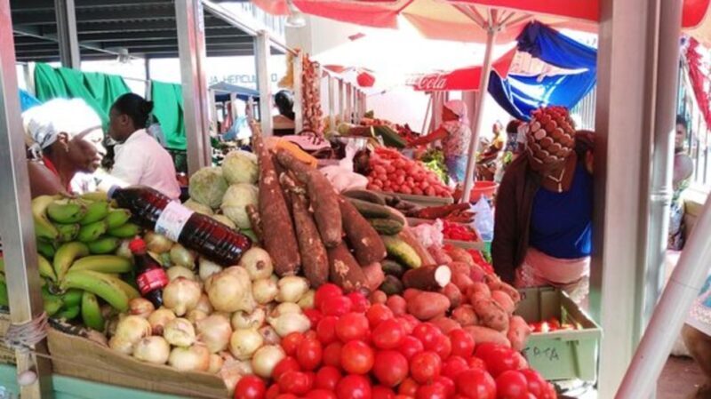 Discover Praia from a Locals Perspective with Lunch - Authentic Insights From Past Travelers
