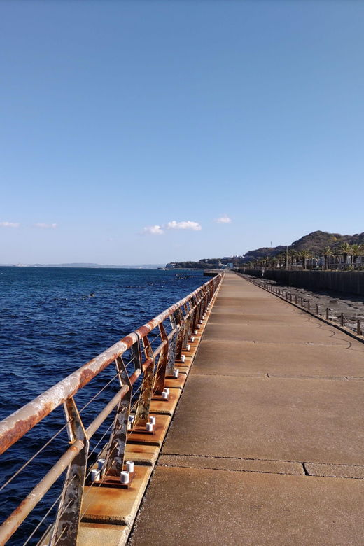 discover-priceless-yokosuka-in-special-one-day-walking-tour