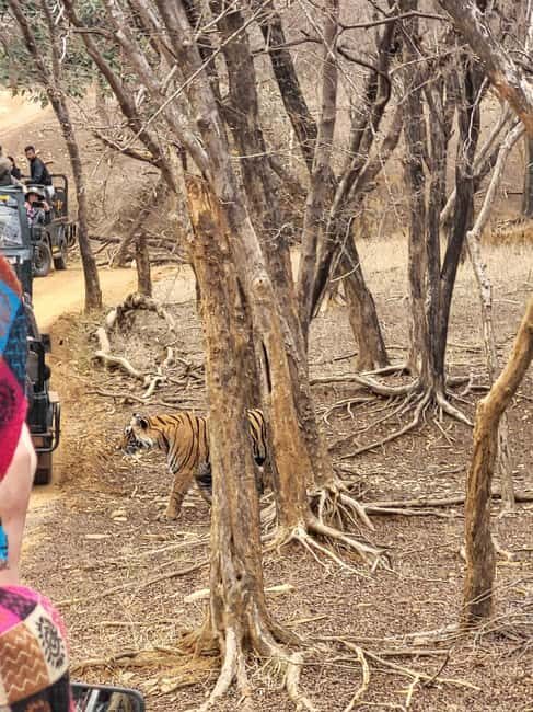 Discover Rajastan - What to Expect from a Rajasthan Private Tour